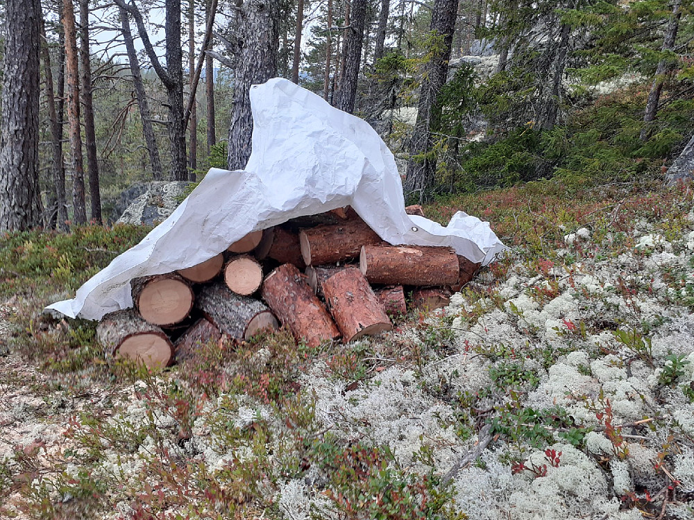 Langtidslager for neste høst.