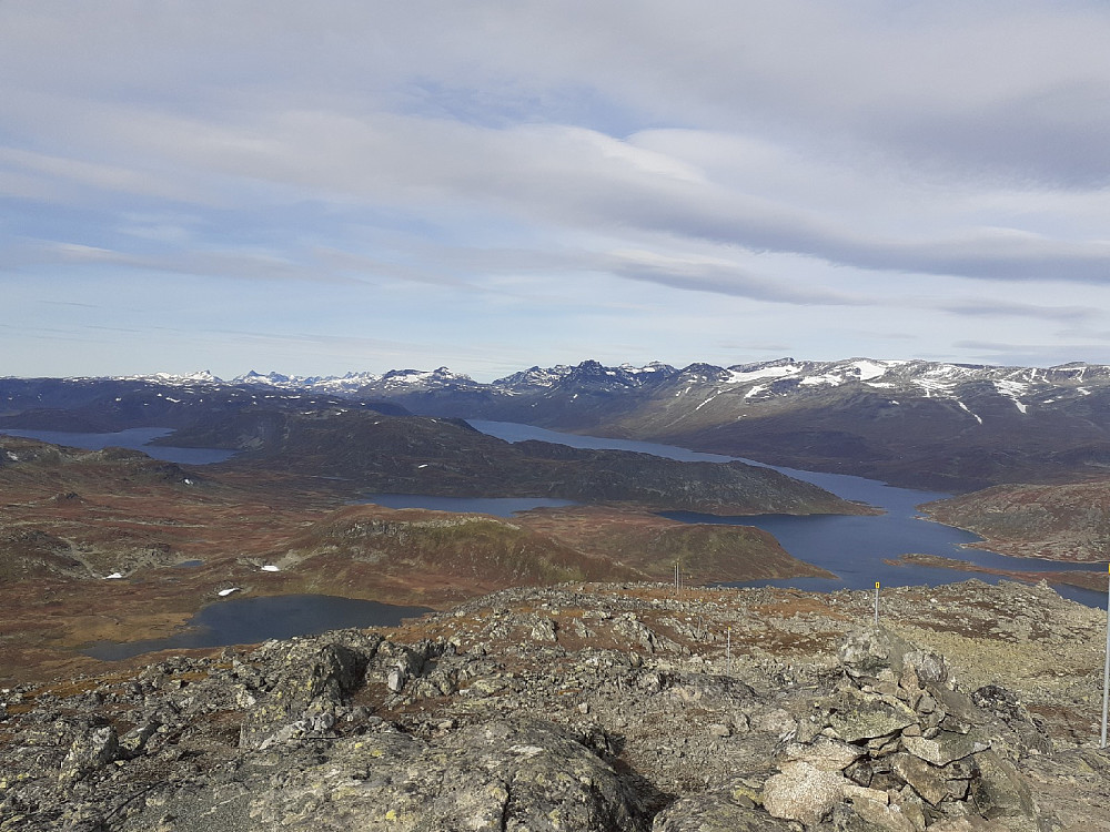 Melisdryss i høyfjellet