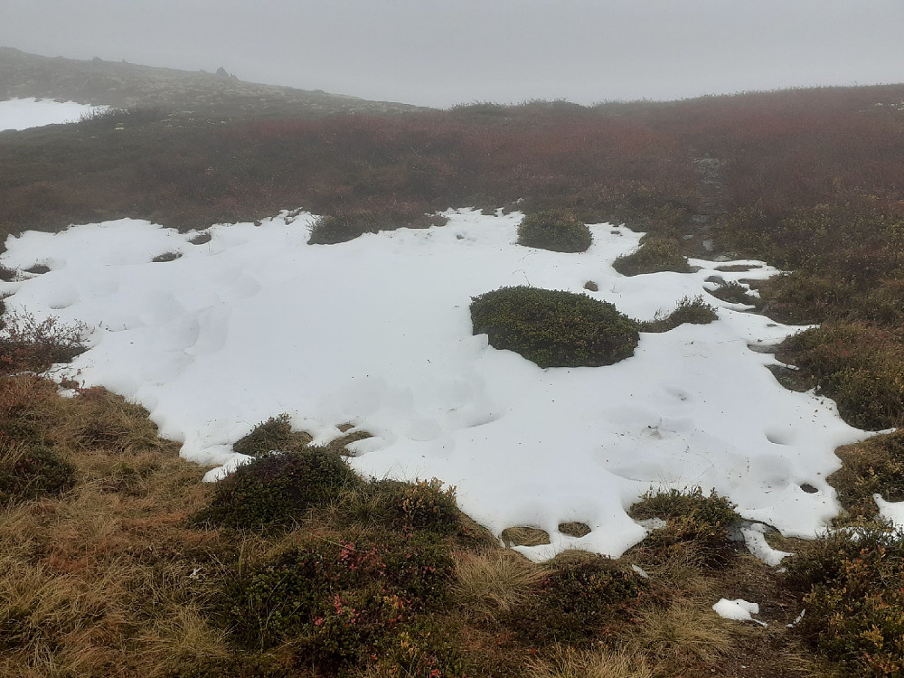 Rester etter helgas snøfall.