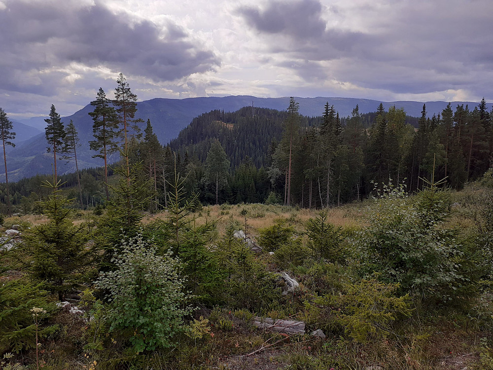 Toppen sett fra nord, fra rv 51 mellom Gol og Fagernes.
