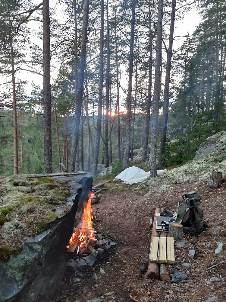 Solnedgang
