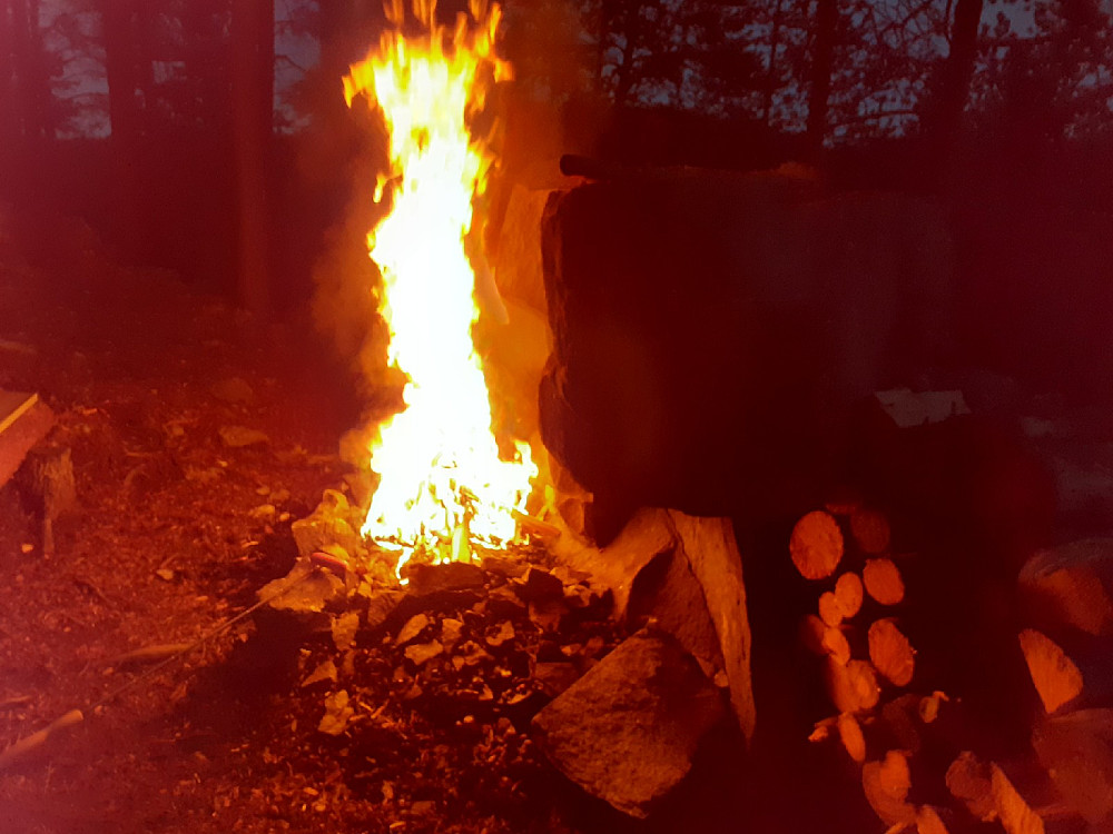 Knusktørr furu