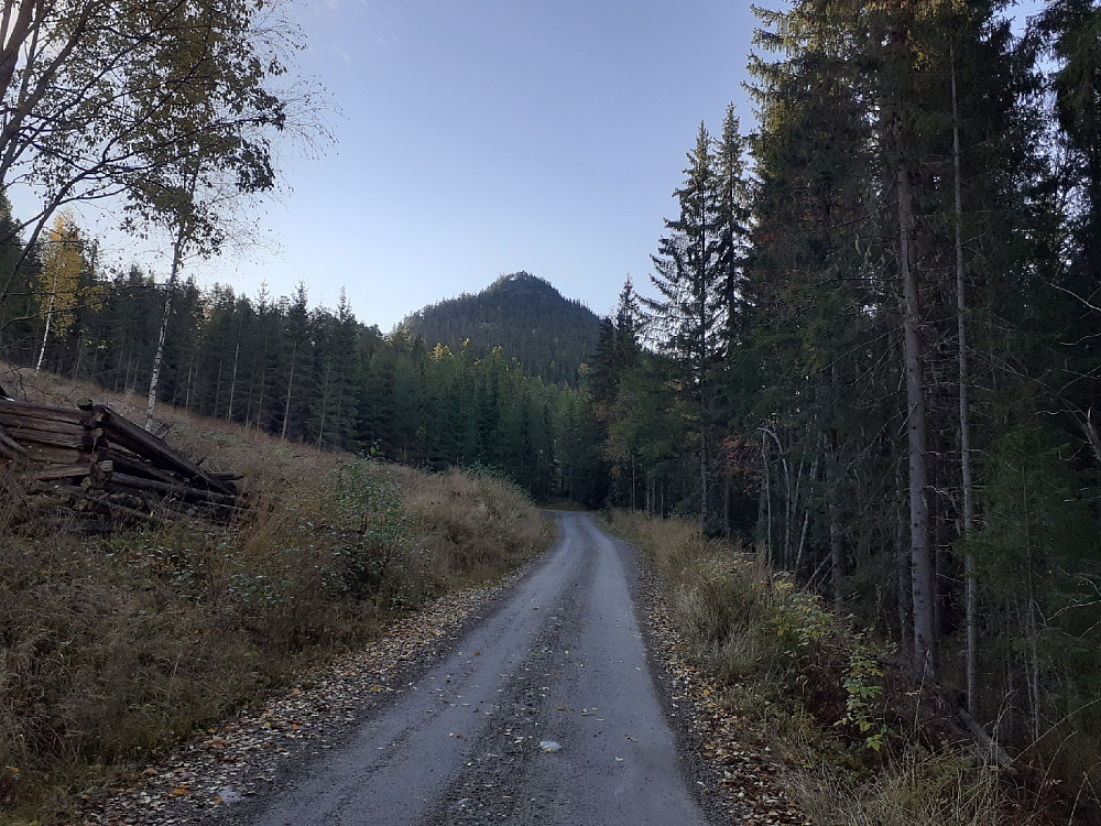 Eidskollen, nord, tok seg fint ut.