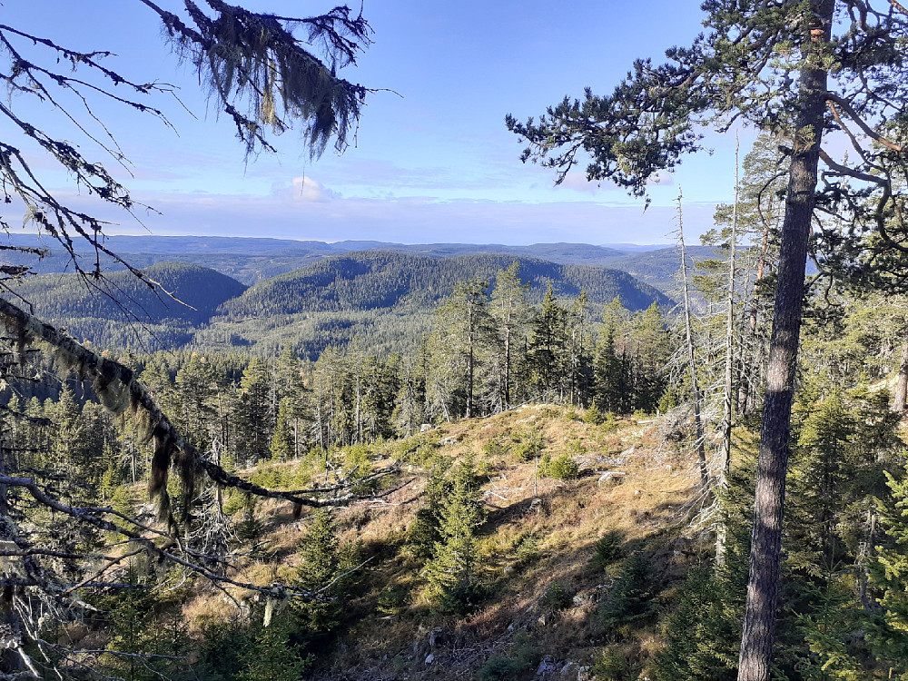 Eidskollen