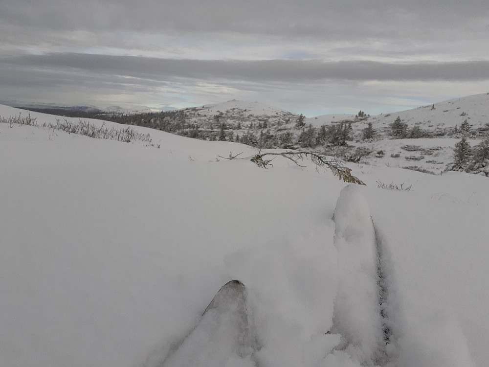 Skifellene ble tatt av etter hvert, da det kladdet enormt. Å gå på blanke ski fungerte mye bedre.