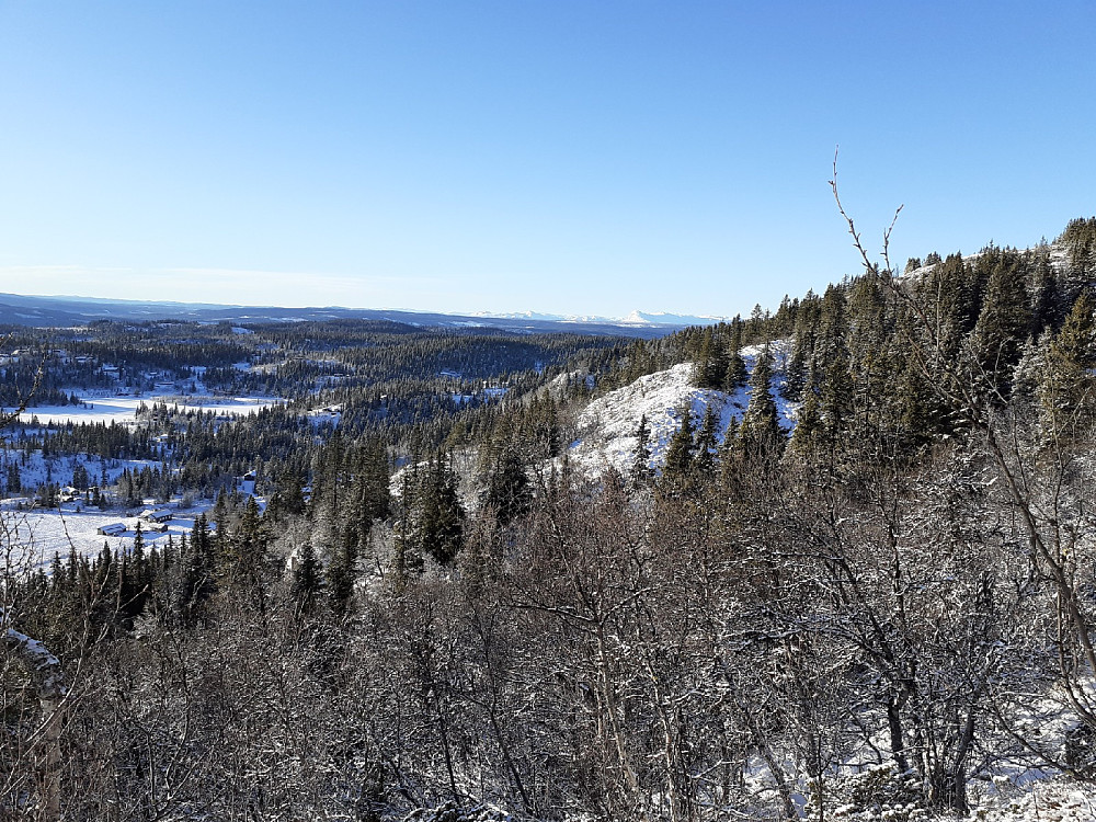 Skogshorn i det fjerne.