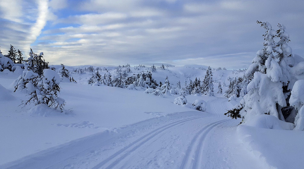 Fulgte de oppkjørte skisporene inn til varmestua ved toppen, før resten av turen gikk i løssnøen.