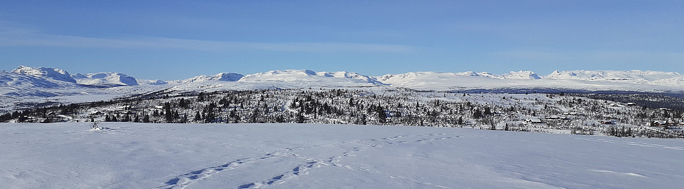 Upåklagelig utsikt mot Jotunheimen en vakker vinterdag. (Tatt fra Storhøvda like NV for toppen.)