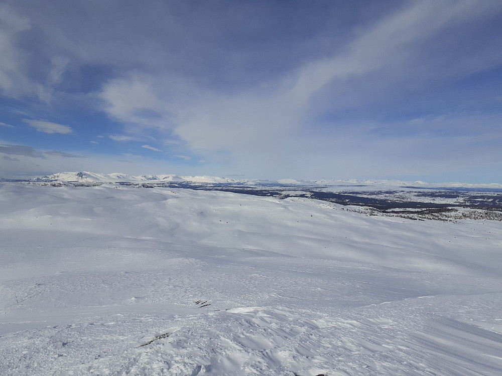 Skogshorn helt til venstre i bildet. Ganske fint mer øst i Jotunheimen i dag, så jeg.