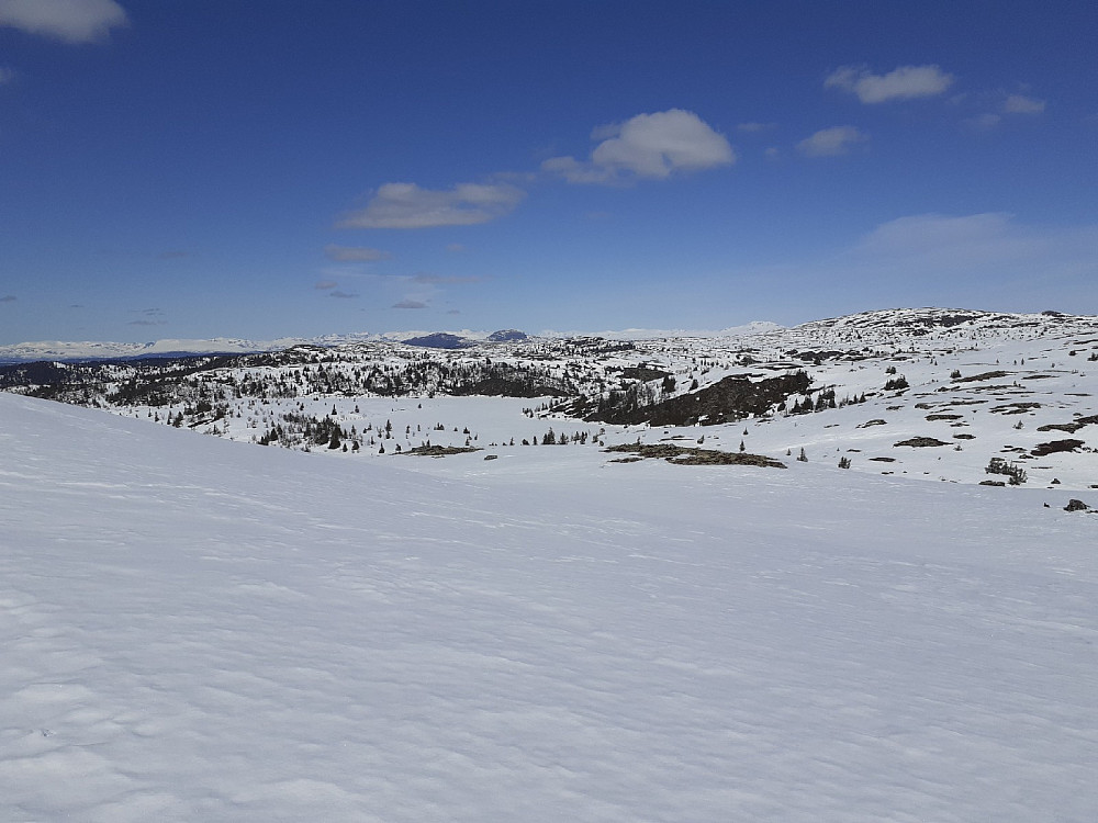 Etter hvert fin utsikt mot Jotunheimen, og Skarve- og Rundemellen.)