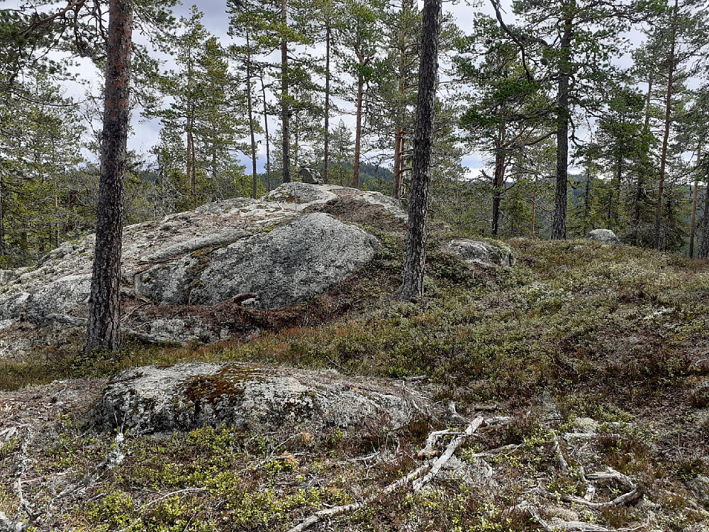 Varden har jeg bygget med barna tidligere.