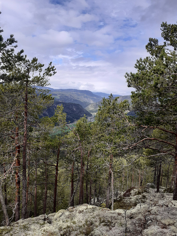 Mot Langeberget ved Bagn.