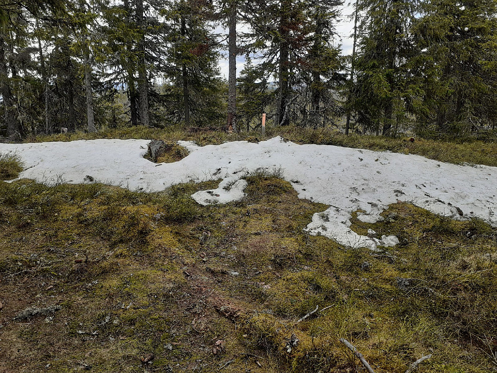 Mye snø har gått på kort tid nå