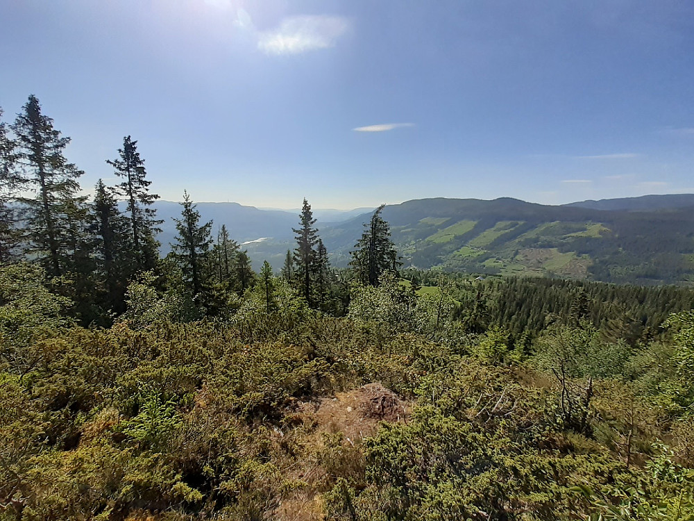 Utsikt mot Langeberget