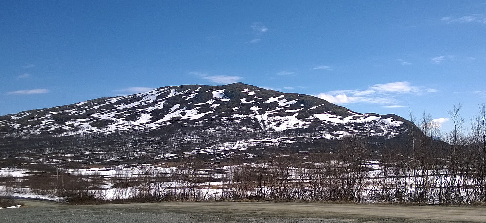 Ikke så mye snø igjen på Røgjin. Stien opp følger i grove trekk egga til høyre.