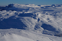 olepetter_01-3_børrenøse.jpg