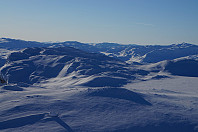 olepetter_01-6_støgonøse.jpg