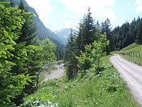 Fra Steg gikk det innover dalen Valünerbach.