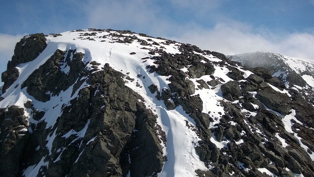 Fra N1 mot toppen av Leirungskampen. Bildet er tatt 18.mai-14.