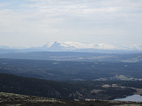 Utsikten mot Skogshorn en maidag fra Makalaus.
