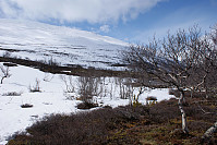 Veien videre mot Moldulhø gikk på snø.