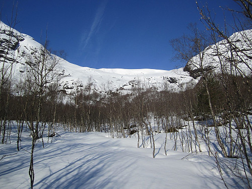 Slik ser det ut opp Snødalen - en naturlig vinterlig atkomst til Sunnmøres høyeste fjelltopp.
