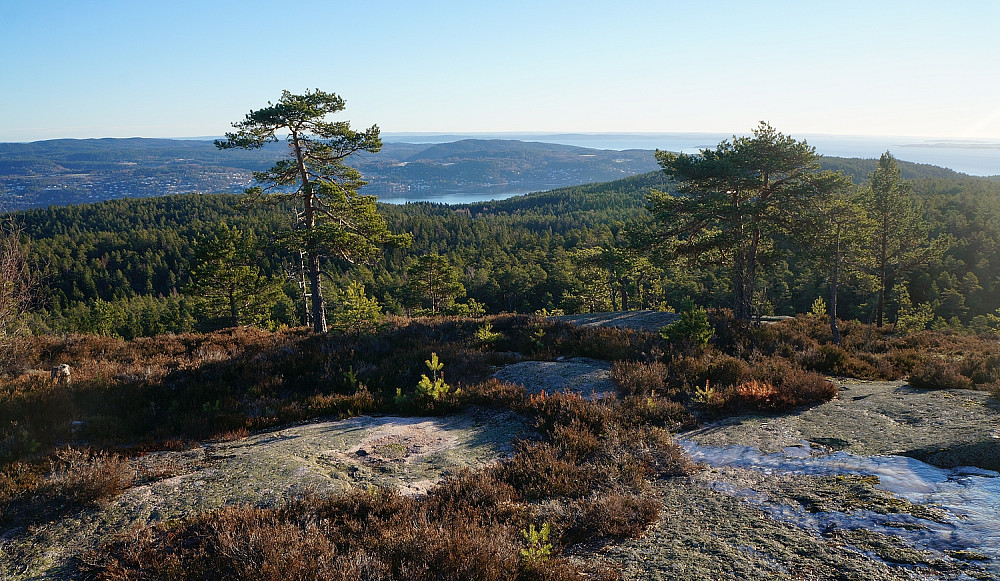 Fra utsiktspunktet 500m sør for høyeste punkt på Høgåsen. Mot Holmsbu/Rødtangen.