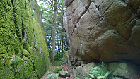 olepetter_kastetskogen_klatrefelt_(1).jpg