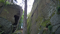 olepetter_kastetskogen_klatrefelt_(2).jpg