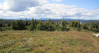 olepetter_liastølsfjellet_(1).jpg