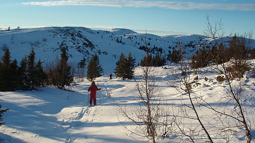 Fra en skitur med småjentene mine på årets korteste dag i 2007. Toppen i sikte!