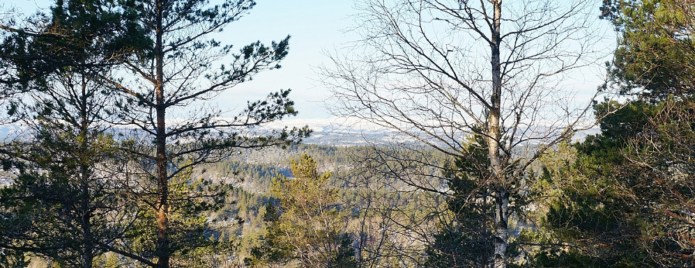 Begrenset utsikt fra toppen av Oksla.