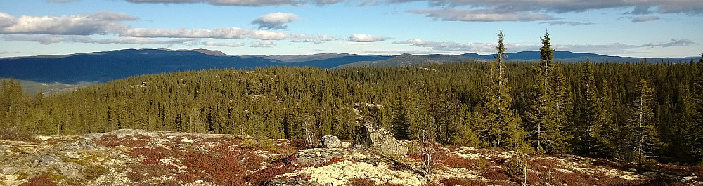 På Mjellhovd, mot Veikulnatten i det fjerne.