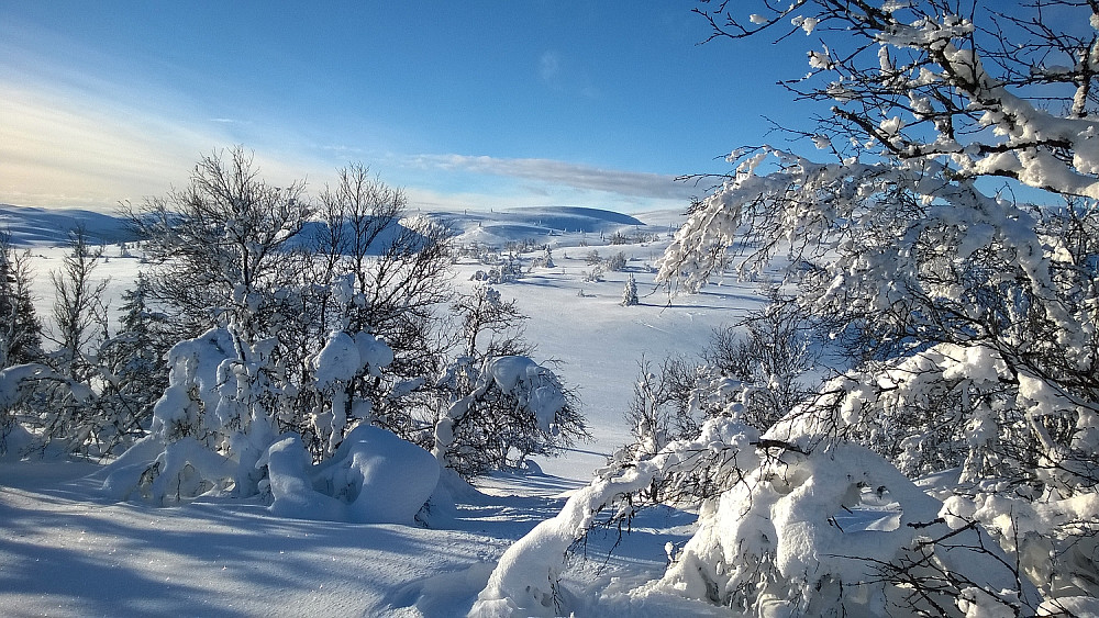 Winter Wonderland. Nå har vi fått nok snø, og vil heller ha masse sol!
Mot Hollastølsfjellet.