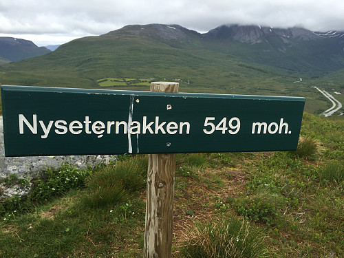 Ikke veldig høyt, men ett flott fjell med fin utsikt.