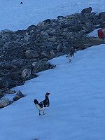 bbjerkeli_20170524_592551b40f191.jpg