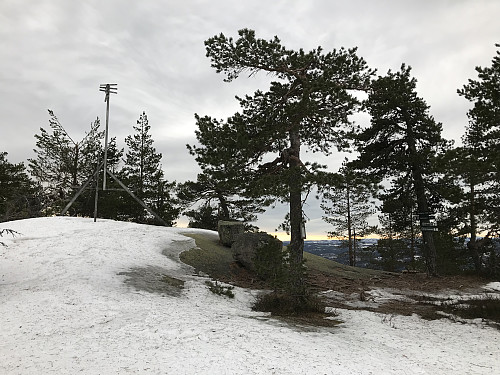 Toppen av Sirikjerke 635 moh