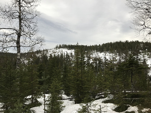 Fra Helvetesnuten mot den markerte kollen Fjellstua NØ midt i bildet og Fjellstua til høyre