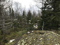 ØyvindBergkvam_20200219_5e4d30aa2d0ad.jpg