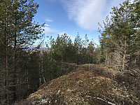 ØyvindBergkvam_20200221_5e4fe97eb53d5.jpg