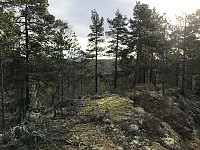 ØyvindBergkvam_20200221_5e4fe980885b0.jpg