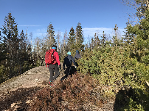 Like ved det høyeste punktet på Skaugumsåsen