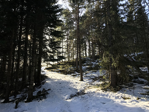 Fint turterreng mellom Heggedal og Blåfjellhytta