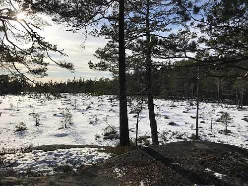 Verkensmåsan like ved toppen som ligger inn til høyre på bildet