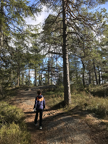 Målet i sikte