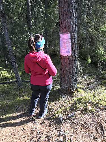 Informasjon om Røverskansen sør på åsryggen