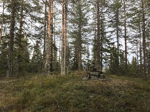 Toppvarden på Skjeppåsen