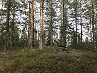 ØyvindBergkvam_20200403_5e87139316094.jpg
