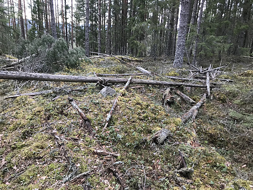 Toppunket med restene etter trigpunkttårnet på Eikeberget