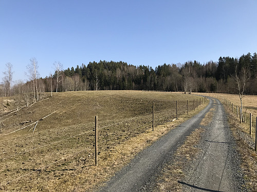 Kølåsen i sikte fra gårdsveien sør for Jaren gård
